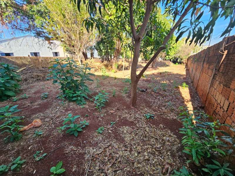 Terreno à Venda no bairro Vila Assis em Jaú imagem 3